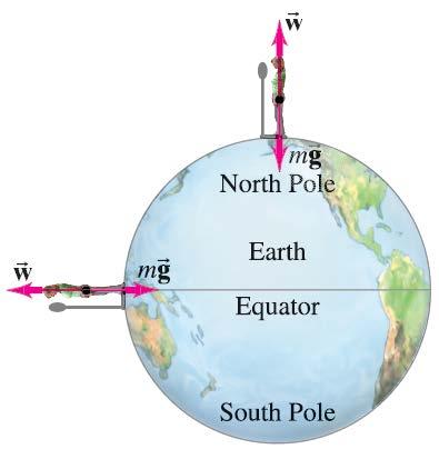 6-3 Gravity Near the Earth s Surface; Geophysical Applications Example 6-5: Effect of Earth s rotation on g.