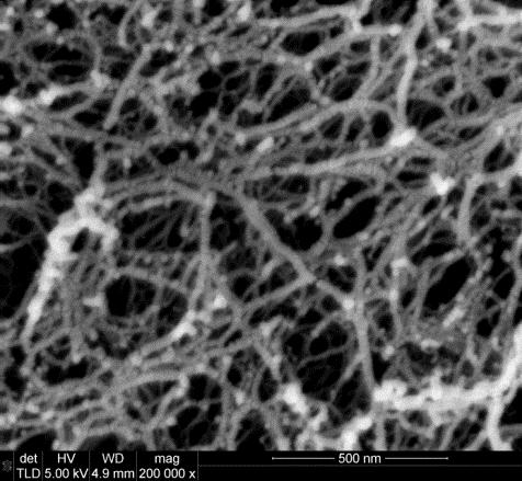 Carboxylated cellulose and chitin nanofibers via TEMPO-oxidation Scheme of the reaction Characteristics of the carboxylated nanofibers Cellulose
