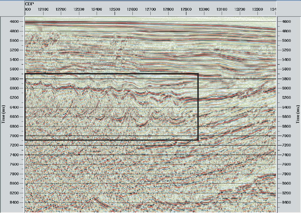 Seismic section after preliminary