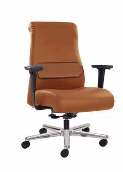 (Felix chairs only) medium and low back standard with lumbar pillow. (Felix chairs only) 2 million product liability insurance per incident.