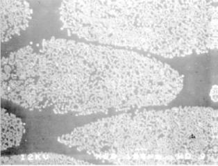 The difference of the critical FVF is explained by the woven microstructure. Figure 4 shows two micrographs of FRP materials.
