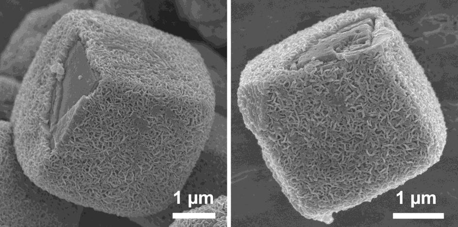 Fig. S3 FESEM images of cracked MnS@MoS 2 core-shell microcubes with hierarchical
