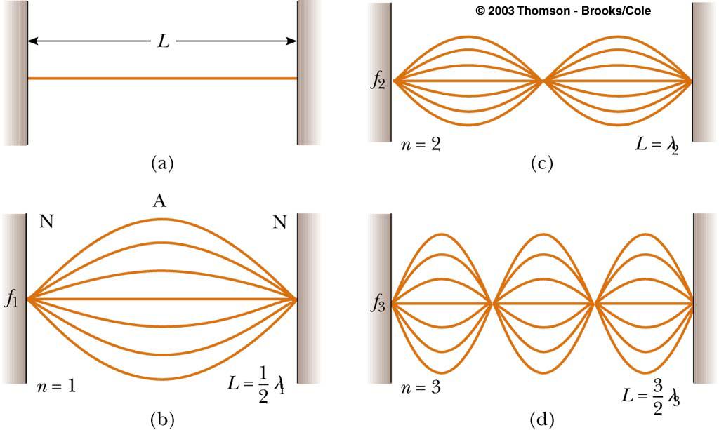 Standing Waves on a String The lowest frequency of vibration (b) is called