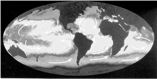 Six Great Current Circuits in the World Ocean Characteristics of the Gyres 5 of them are geostrophic gyres: North Pacific Gyre South Pacific Gyre North Atlantic Gyre South Atlantic