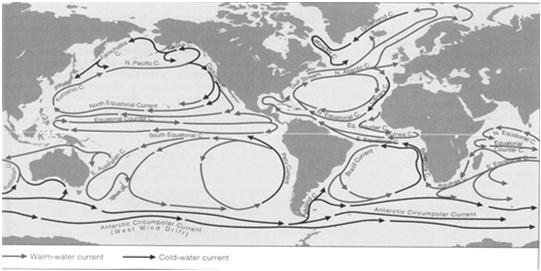 Oceanography by Tom Garrison) Volume transport unit: 1 sv = 1 Sverdrup = 1 million m 3 /sec (the Amazon river has a transport of ~0.