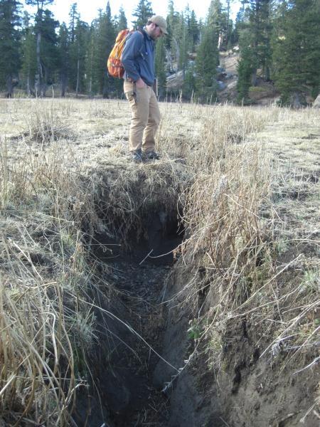 Toe point transects: Toe point transects are a quick method of estimating percent cover by pacing transects and making equally spaced observations at every step, or every other step, depending on the