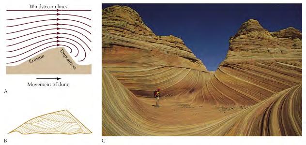 Navajo Sandstone has large-scale crossbedding produced by the migration of large sand