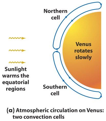 Atmospheric Circulation The circulation of the Venusian atmosphere is dominated by two huge convection currents in the cloud layers, one in