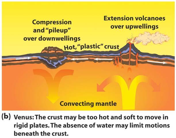 surface may be too hot for the crust to move as rigid plates The lack of plate