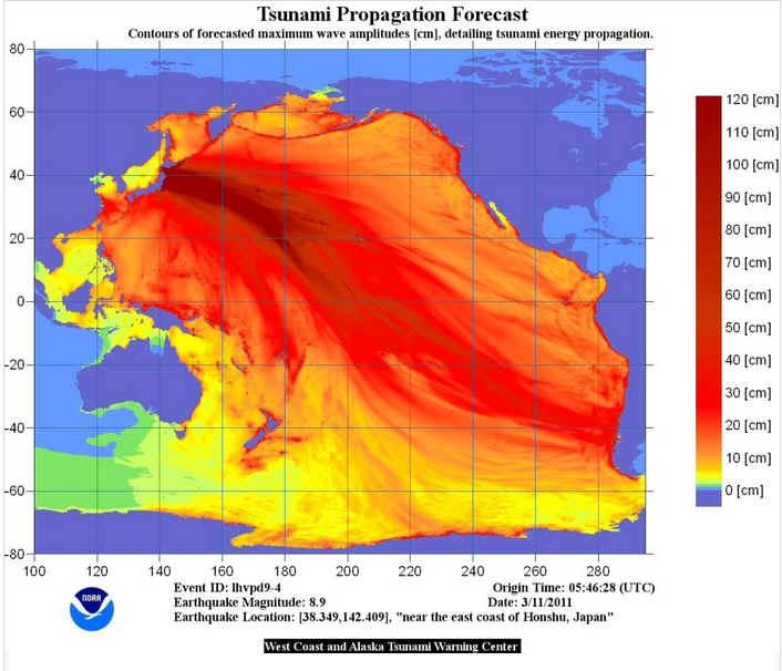 This tsunami propagation forecast model shows the forecast maximum tsunami wave height (in cm).