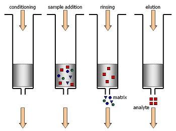Clean-up after extraction Silicagel chromatography SPE columns Ion exchange columns Romer Mycosep columns Immuno