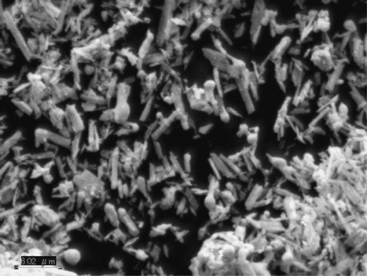 212 M. Tsunekawa et al. 6 µ m Fig. 1 SEM image of lead particles. Table 1 Physical properties of MEK with various concentration of H 2 O.
