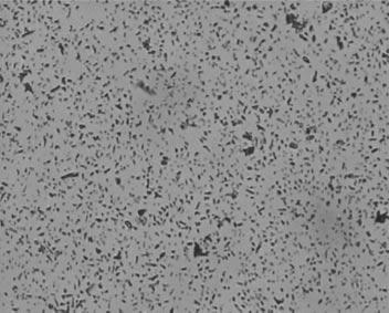 (c), (d) Lead particles after filtration of MEK solution with or without H 2 O under SEM.