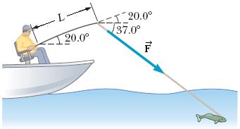 Example problem: Torque The fishing pole in the figure makes an angle of 20.0 with the horizontal.
