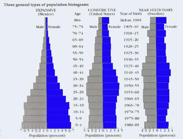 Growing quickly! Birth rates much _greater than death rates child-bearing population very large.