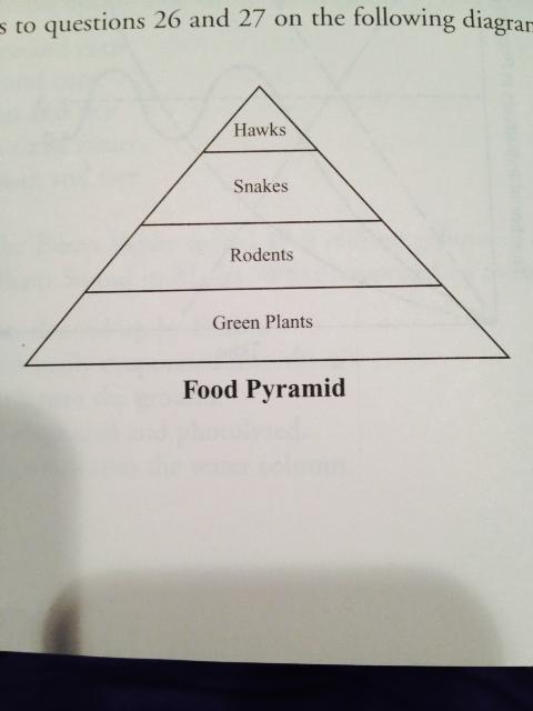 11. The greatest amount of energy present in this pyramid is found at the level of the a. Hawks b. Snakes c. Rodents d. Green plants e. Decomposers 12.