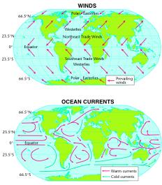 Heat Transport in the Biosphere The unequal heating of Earth s surface drives winds and ocean currents, which transports heat throughout the biosphere.