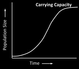 Exponential growth is when the individuals in a population reproduce at a constant rate.