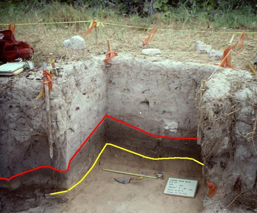 Methods Overburden Level Sterile Dune - From 104 1x1m 2 excavation unit a sediment sample