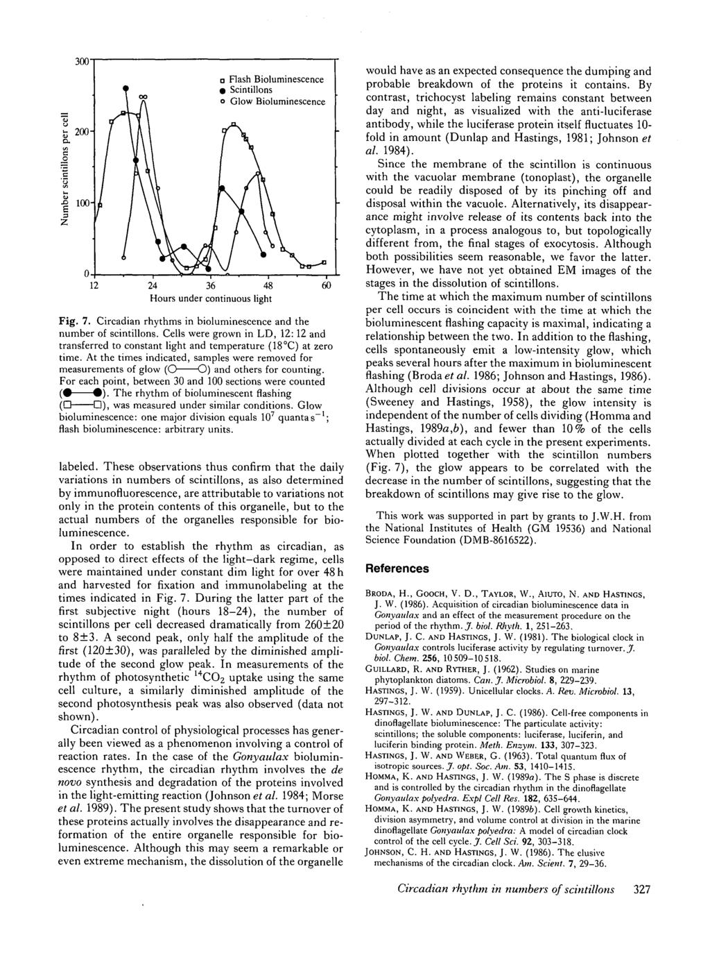 300' a 200-100- a Flash Bioluminescence 9 Scintillons o Glow Bioluminescence 12 24 36 48 Hours under continuous light Fig. 7. Circadian rhythms in bioluminescence and the number of scintillons.