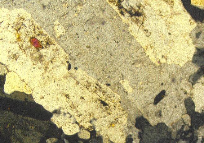 19 Fig. 16. More advanced stage of microcline (light gray; orthoclase?) replacing core of plagioclase crystal (cream white).