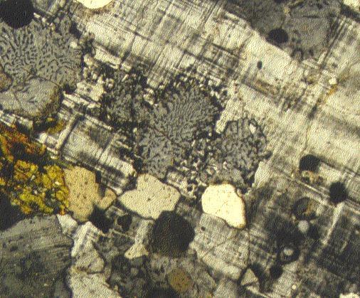 22 Fig. 19. Myrmekite with tiny quartz vermicules surrounded by microcline (gridpattern). Quartz (white, gray, cream). Biotite (brown). Hornblende (dark green).