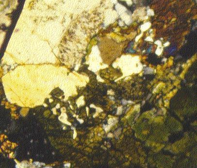 23 Fig. 20. Quartz sieve texture (white) in hornblende to the right of the yellow quartz grain. Hornblende (brown and dusky green). (Biotite-hornblende quartz monzonite; sample HQ 98-1, Fig. 1).