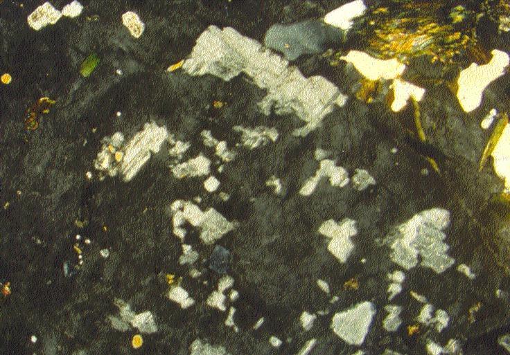 8 Thin section analyses and discussion of the Lower Caribou Creek megacrystal granodiorite Thin sections of the sheared diorite (Fig. 2, Fig. 3, and Fig.