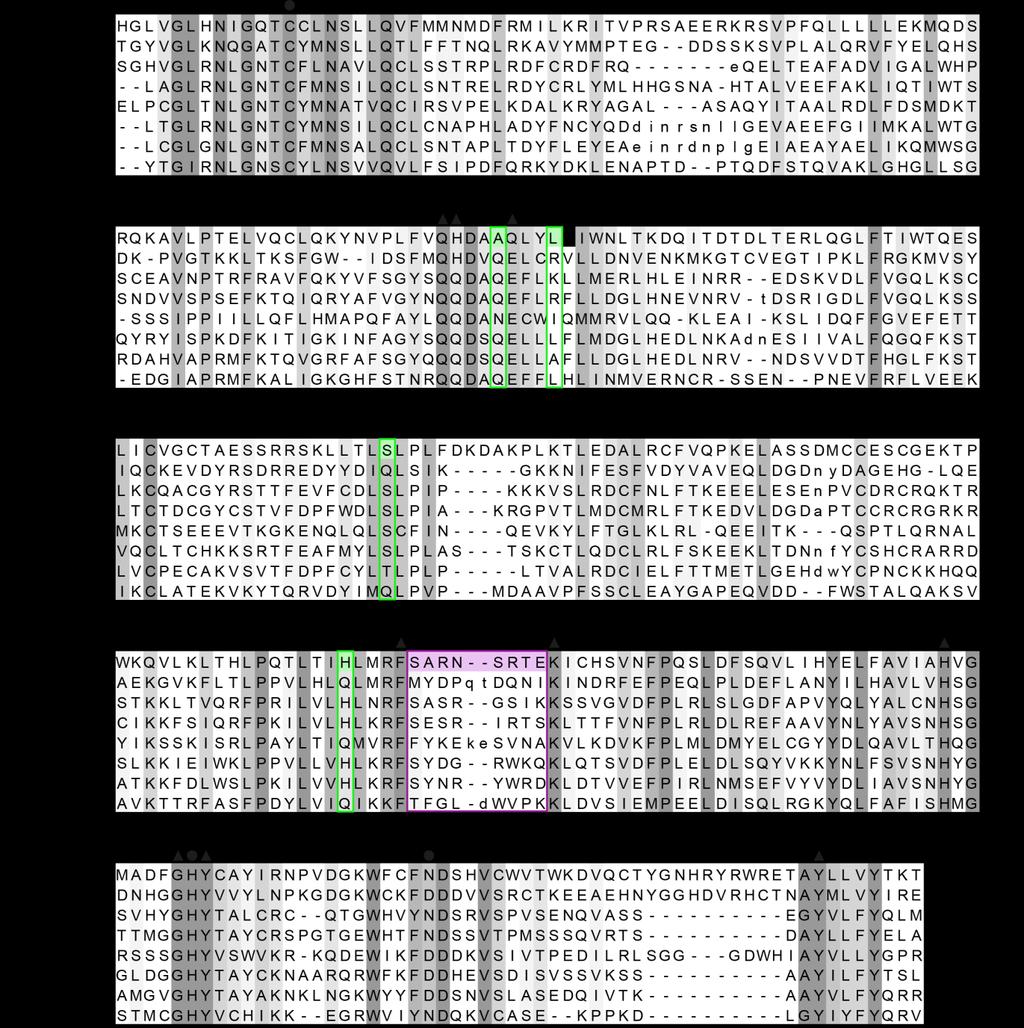 Supplementary Note 1 Structure-based multiple sequence alignment of USP18 with other members of the USP
