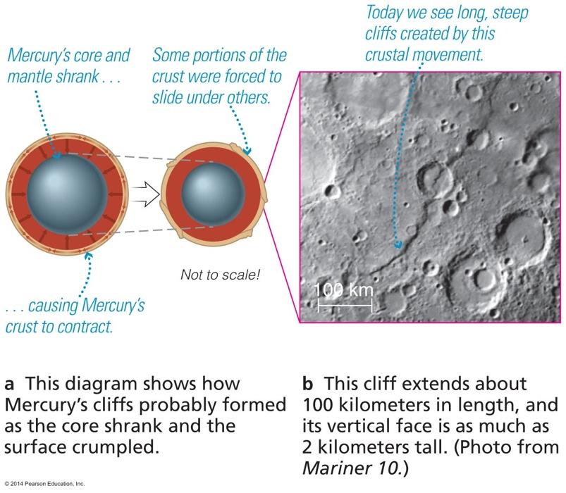 Tectonics on Mercury Long cliffs indicate that Mercury