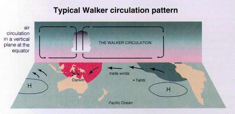 CHAPTER 1. INTRODUCTION TO THE TROPICS 22 Figure 1.20: A close-up view of the Walker circulation showing ascent over the warm pool region and subsidence over the cooler waters of the eastern Pacific.