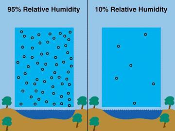 Relative humidity compares the actual amount of water