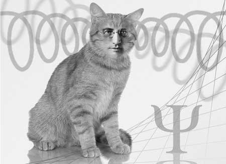 Erwin Schrödinger and his cat Experimental