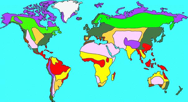 Basic Ecology: Characteristics of the Earth's Terrestrial Biomes Introduction Many places on Earth share similar climatic conditions despite being found in geographically different areas.
