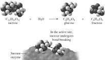 12.3 Conditions That Affect Rxn Rates Catalytic converters consist of metal catalysts that convert toxic gases (like CO) to harmless ones (like CO 2 ) quickly. Figure 12.11 12-13 12.