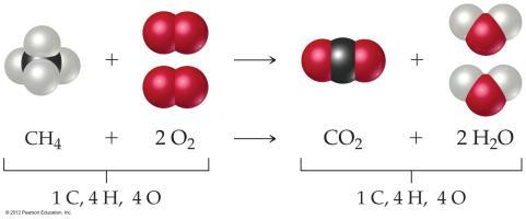 Anatomy of a Chemical Equation CH 4 (g) + 2O 2 (g) CO 2 (g) + 2H 2 O(g) Subscripts