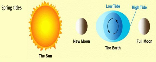 27. Draw a picture of a Neap Tide and a Spring Tide. In the diagram, include the Sun, Moon and Earth. Label the phase of the Moon and also draw the tidal bulges.
