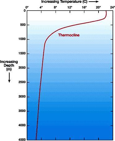 QUESTION 9 EXPLAIN THE THERMOCLINE AND HOW IT WORKS.