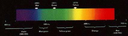 Radiometry Radiometry is the measurement of optical radiation, corresponding to wavelengths between 0.