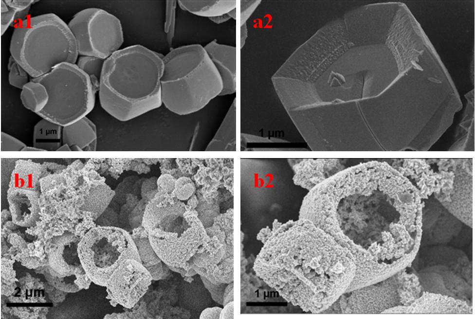 Fig. S7 FESEM images of as-obtained products when hexagonal plate like ACM treated