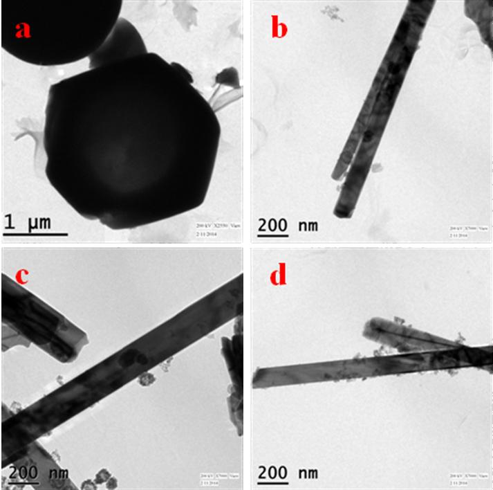 Fig. S2 TEM images of (a) concave hexagonal plate like ACM microstructure.
