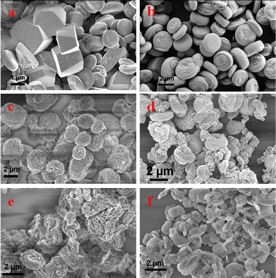 Fig. S3 FESEM images of as-synthesized ACM microstructures obtained from different precursor ratios of CA and