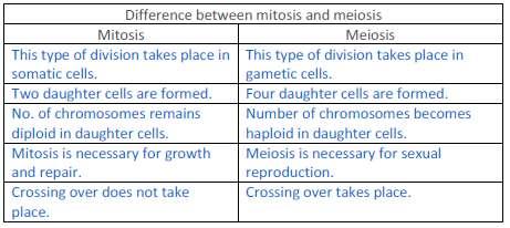 Question 11 - List the main differences between mitosis and meiosis. Answer: Question 12 - What is the significance of meiosis?