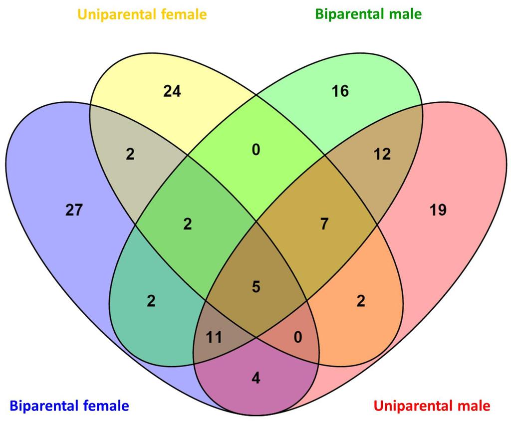 Supplementary Figure 2 The number of differentially expressed genes for males (green), females (yellow), males (red), and females (blue) in post-caring vs.