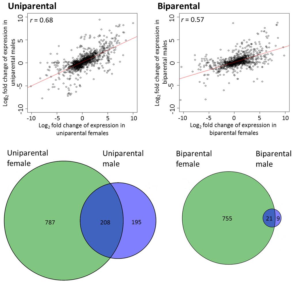 Supplementary Figure 5 Correlation between gene expression under and care when using the extended reference assembly. (a) Correlation of expression change in caring vs.