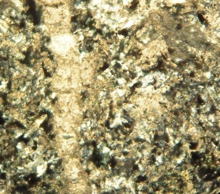 with some plagioclase. Thin section view in transmitted light. 0.1mm Figure 3.