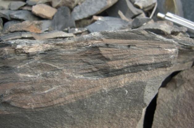 sericite and patch of carbonate (UMS2). Figure 3.2: (Left) Flaser bedding at upper part of the sandstone bed.