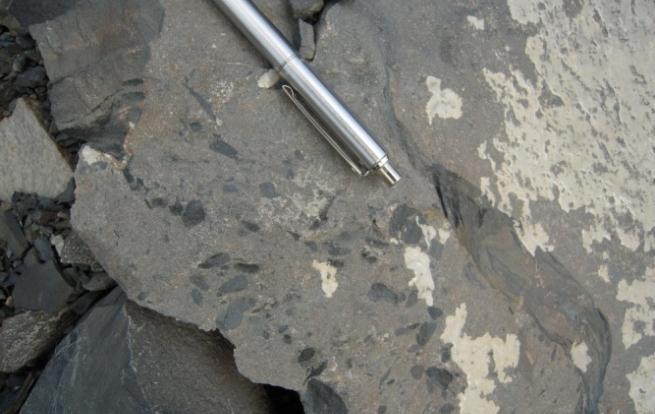 3 Lower well bedded laminated siltstone (UMS 3) This third sedimentary unit is similar to the first unit but is becoming