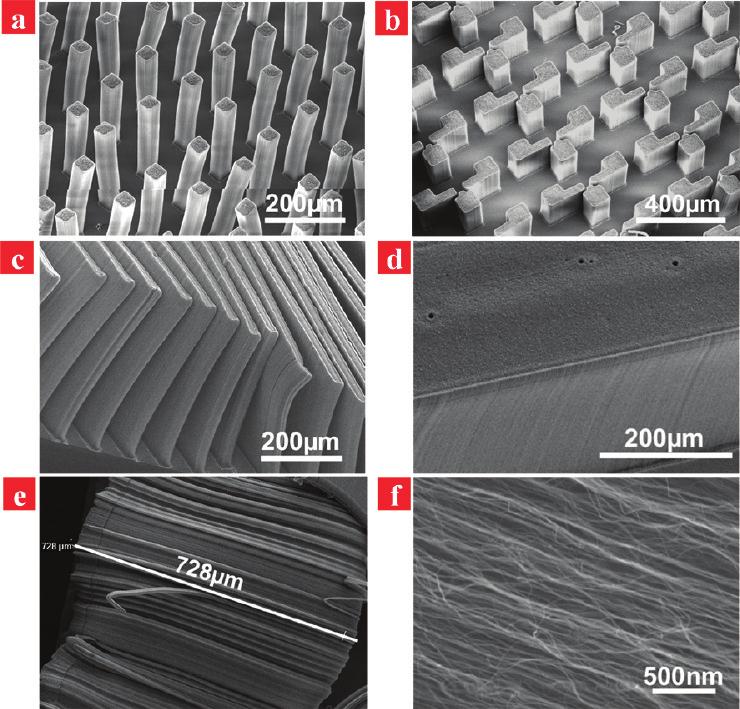 Figure 2. SEM images of various organized CNT forests on quartz wafers by water-assisted ethylene CVD.