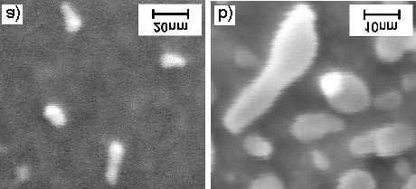 3 CCVD Growth Figure 3.26: Relaxation mechanism of a strained carbon cap (a) that initiates SWCNT growth (b) by slipping-off.